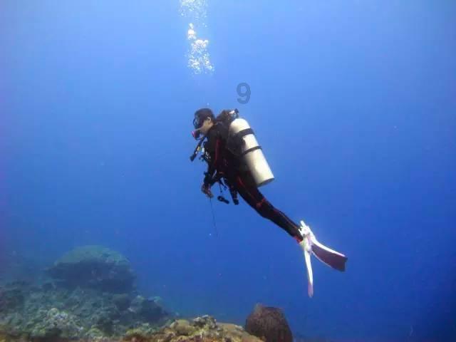 海盗寻宝记选关版